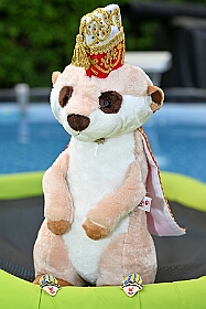 Grillparty 2025-06-2805  Grillparty - Wir waren Gäste, u.a. auch die große Crew, auf der Grillparty se. Ehemaligen Tollität Prinz Tobias I.  und seinem Lebensgefährten Luis in Bottrop. : DVPJ, Holger II, Kinderprinz Phil II., Prinzessin, Mia I., Prinzessin Mia I., HDK, Duisburg, Karneval, Helau, Tollität, Event, Session 2024, Session 2025, Hauptausschuss, Gemeinschaft, Hauptausschuss Karneval Duisburg, Duisburg ist echt