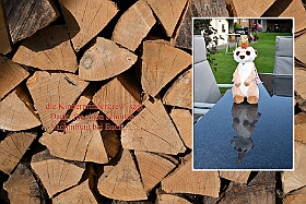 Grillparty 2025-06-2822  Grillparty - Wir waren Gäste, u.a. auch die große Crew, auf der Grillparty se. Ehemaligen Tollität Prinz Tobias I.  und seinem Lebensgefährten Luis in Bottrop. : DVPJ, Holger II, Kinderprinz Phil II., Prinzessin, Mia I., Prinzessin Mia I., HDK, Duisburg, Karneval, Helau, Tollität, Event, Session 2024, Session 2025, Hauptausschuss, Gemeinschaft, Hauptausschuss Karneval Duisburg, Duisburg ist echt